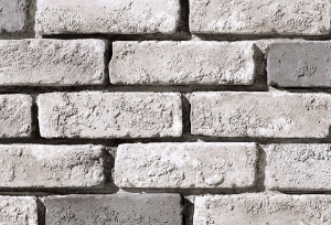 Coronado Special Used Brick Glacier Corner 10 Lf/Bx