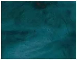 Westcoat Ec-38 Liquid Dazzle Epxy Sapphire 15 Gal Kit