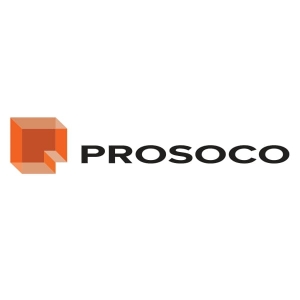 Prosoco 1/4" X 24" Sds Drill Bit