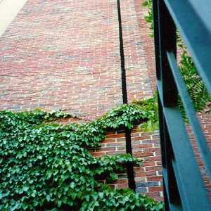 Emseal Below Grade Wall Expansion Joint Primary Sealant
