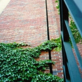 Emseal Below Grade Wall Expansion Joint Primary Sealant