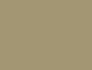 Westcoat Sc-10 Acrylic Topcoat Omaha Tan 5 Gal Pail
